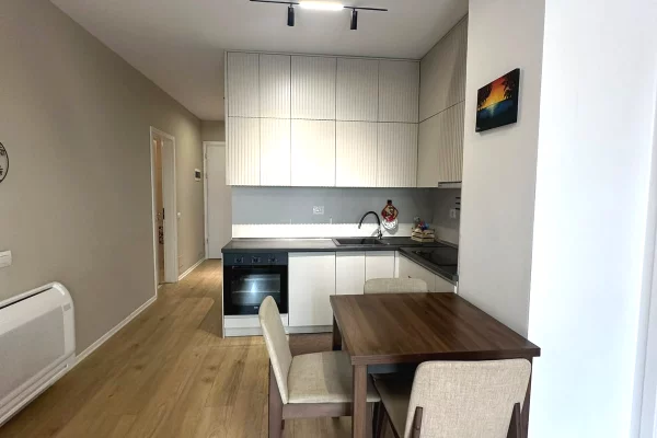 Shtepi me qera Apartament ne Tirane, 1+1, Mobilimi E mobiluar, Pagesa 65,000  Leke.