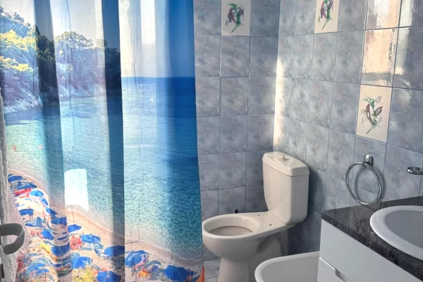 Shtepi ne shitje Apartament ne Tirane, 1+1, Mobilimi E mobiluar, Pagesa 13,000,000  Leke.