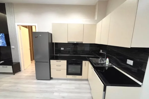 Shtepi me qera Apartament ne Tirane, 1+1, Mobilimi E mobiluar, Pagesa 55,000  Leke.