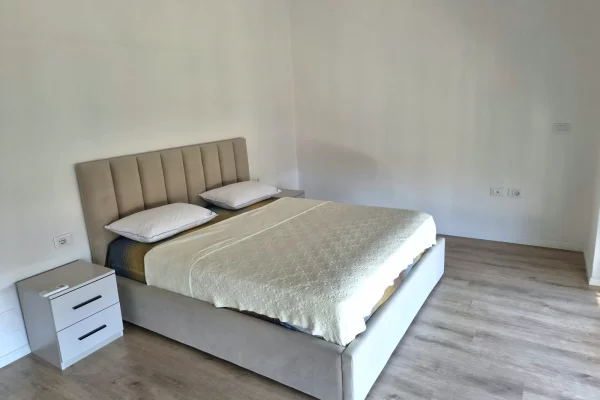 Shtepi me qera Apartament ne Tirane, 1+1, Mobilimi E mobiluar, Pagesa 65,000  Leke.