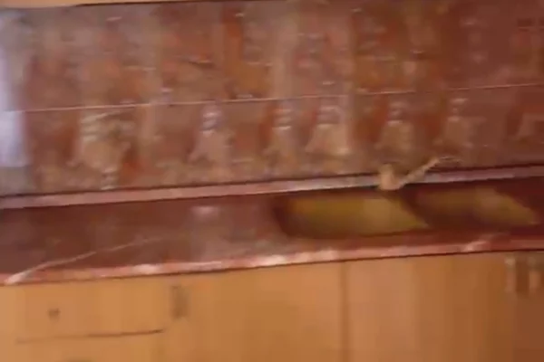 Shtepi me qera Apartament ne Tirane, 1+1, Mobilimi E mobiluar, Pagesa 45,000  Leke.