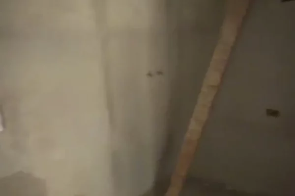 Shtepi ne shitje Apartament ne Tirane, 2+1, Mobilimi Bosh, pa mobiluar, Pagesa 89,000  Euro.