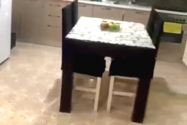 Shtepi me qera Apartament ne Tirane, 1+1, Mobilimi E mobiluar, Pagesa 44,000  Leke.