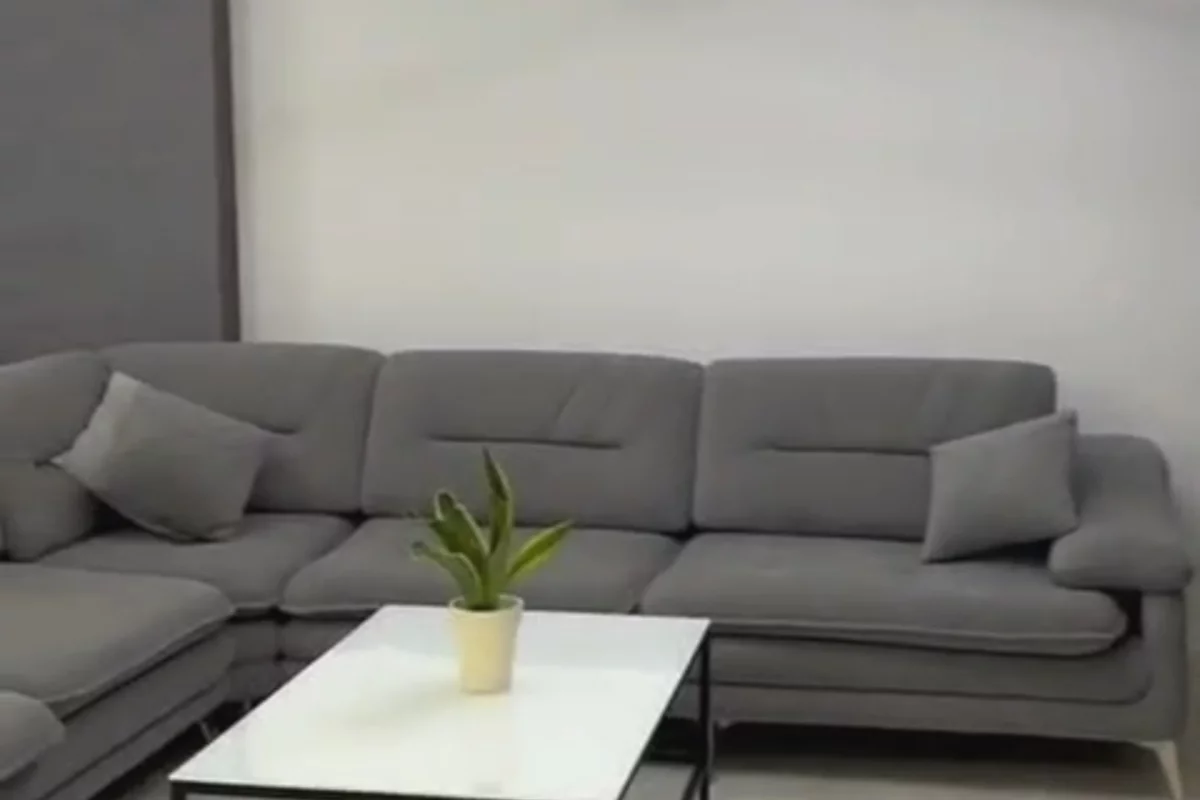 Shtepi me qera Apartament ne Tirane, 2+1, Mobilimi E mobiluar, Pagesa 650  Euro.