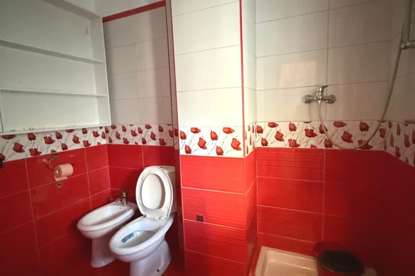 Shtepi me qera Apartament ne Tirane, 1+1, Mobilimi E mobiluar, Pagesa 55,000  Leke.