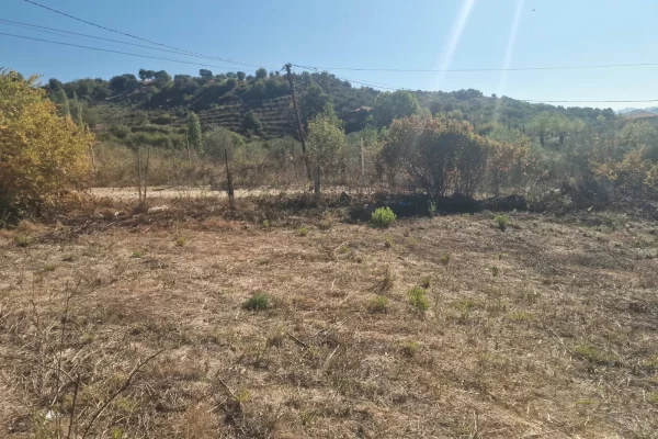Shitet 1500 m2 toke ne Yrshek perballe QTU.