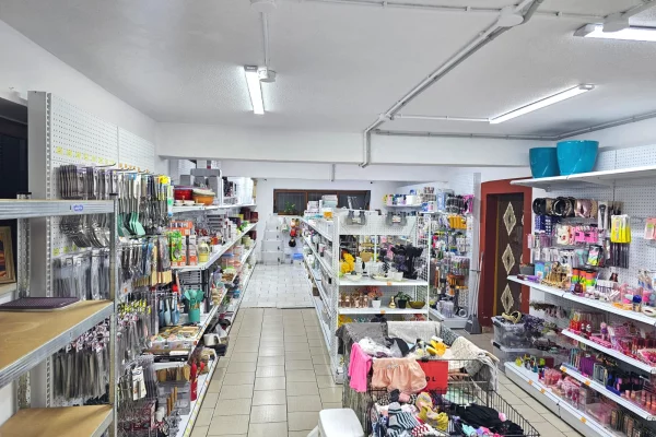 JEPET ME QIRA AMBIENT BIZNESI – ALI DEMI