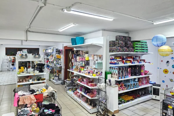 JEPET ME QIRA AMBIENT BIZNESI – ALI DEMI