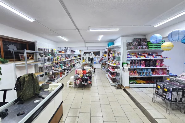JEPET ME QIRA AMBIENT BIZNESI – ALI DEMI