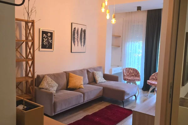 Shtepi me qera Apartament ne Tirane, 1+1, Mobilimi E mobiluar, Pagesa 60,000  Leke.
