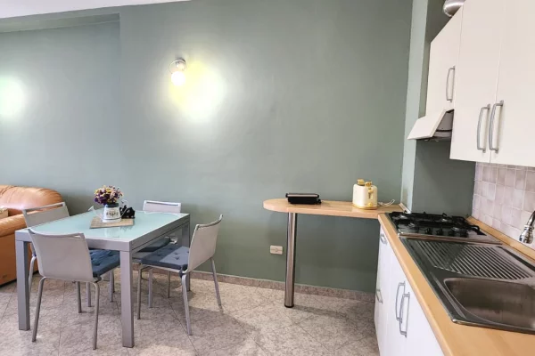 Shtepi me qera Apartament ne Tirane, 1+1, Mobilimi E mobiluar, Pagesa 67,000  Leke.