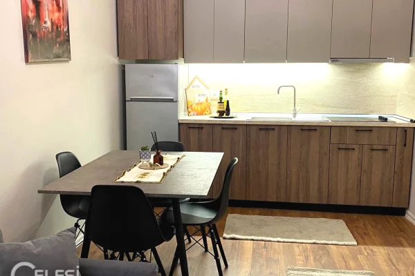 Shtepi me qera Apartament ne Tirane, 1+1, Mobilimi E mobiluar, Pagesa 70,000  Leke.