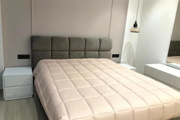 Shtepi me qera Apartament ne Tirane, 1+1, Mobilimi E mobiluar, Pagesa 80,000  Leke.