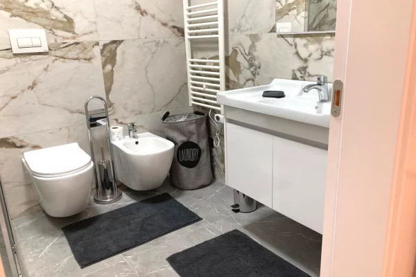 Shtepi me qera Apartament ne Tirane, 1+1, Mobilimi E mobiluar, Pagesa 80,000  Leke.