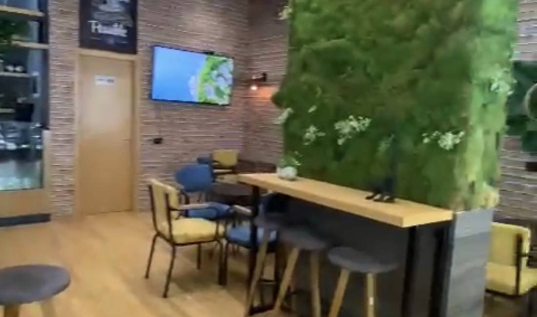 Shitet ambjent bar-kafe perball Juridikut 