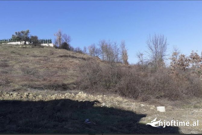 Shitet toke ne dalje te kombinatit 