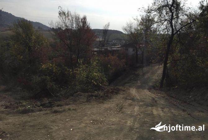 Shitet toke ne dalje te kombinatit 