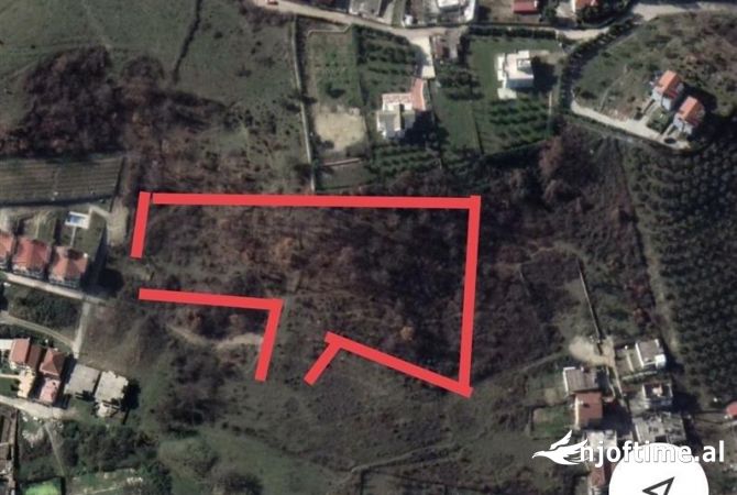 Shitet toke ne dalje te kombinatit 