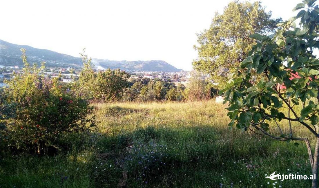 Shitet toke ne peze helmes