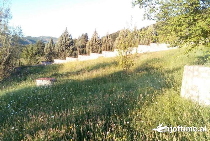 Shitet toke ne peze helmes