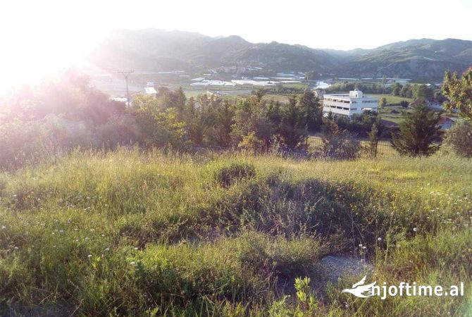 Shitet toke ne peze helmes