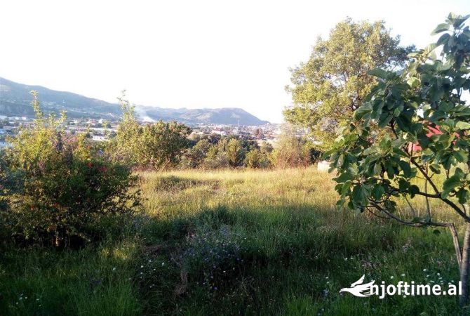 Shitet toke ne peze helmes