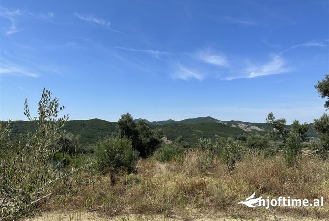 Ambiente Commerciale in Vendita 2+1 a Tirana - 400,000 Euro