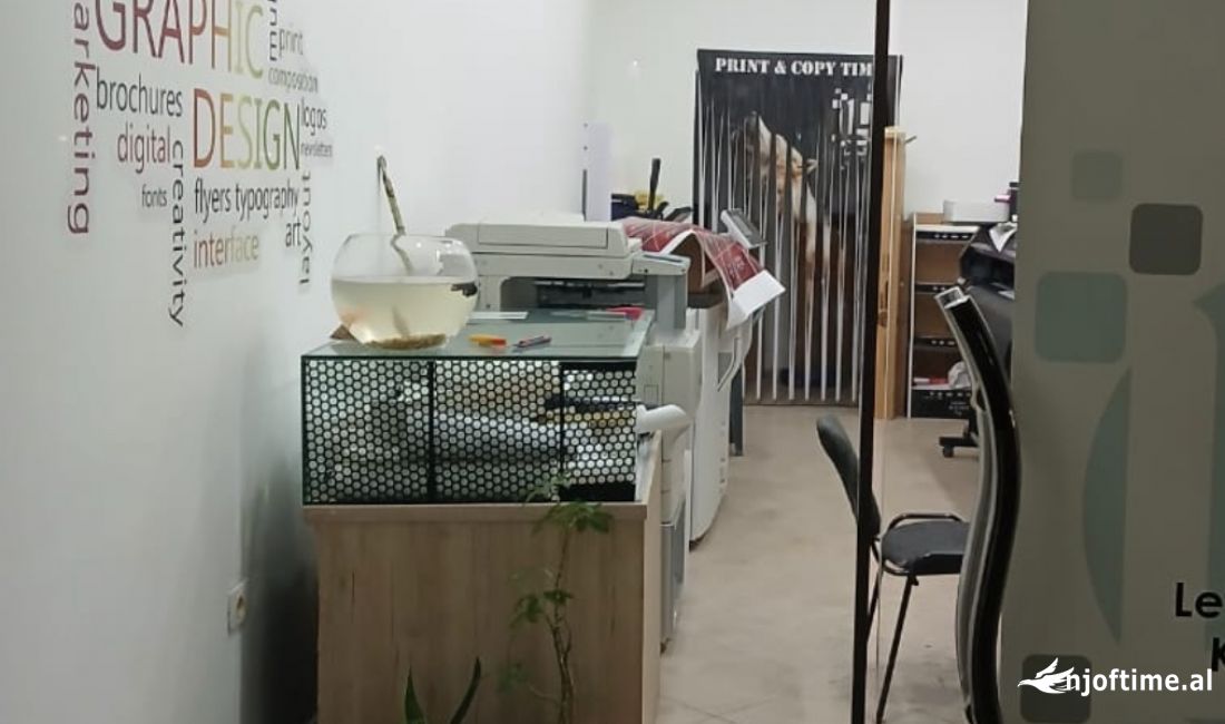 Shitet dyqan tek rr Mikel Maruli , Astir 