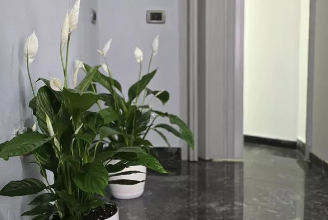 Shtepi me qera Apartament ne Tirane, Garsoniere, Mobilimi E mobiluar, Pagesa 55,000  Leke.