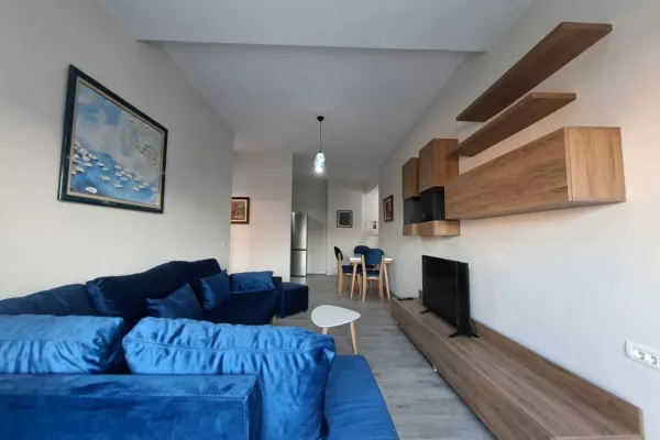 Shtepi me qera Apartament ne Tirane, 1+1, Mobilimi E mobiluar, Pagesa 60,000  Leke.
