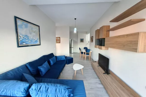 Shtepi me qera Apartament ne Tirane, 1+1, Mobilimi E mobiluar, Pagesa 60,000  Leke.