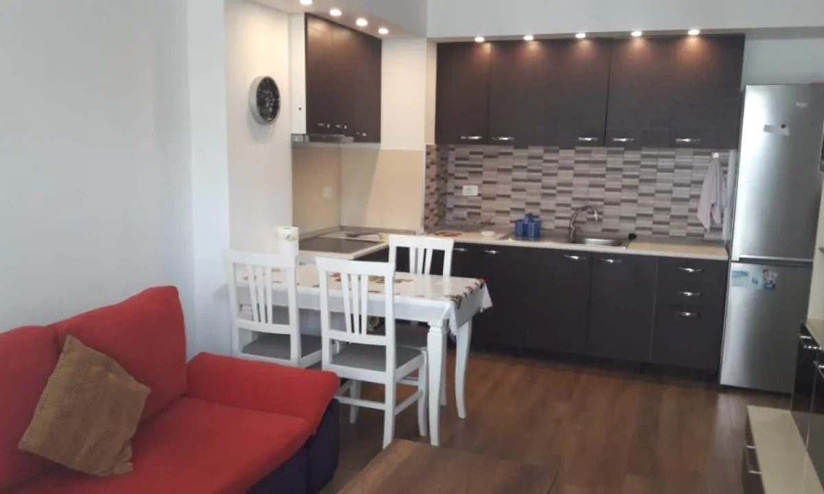 Shtepi ne shitje Apartament ne Tirane, 1+1, Mobilimi E mobiluar, Pagesa 155,000  Euro.