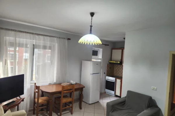 Shtepi me qera Apartament ne Tirane, 1+1, Mobilimi E mobiluar, Pagesa 600  Euro.
