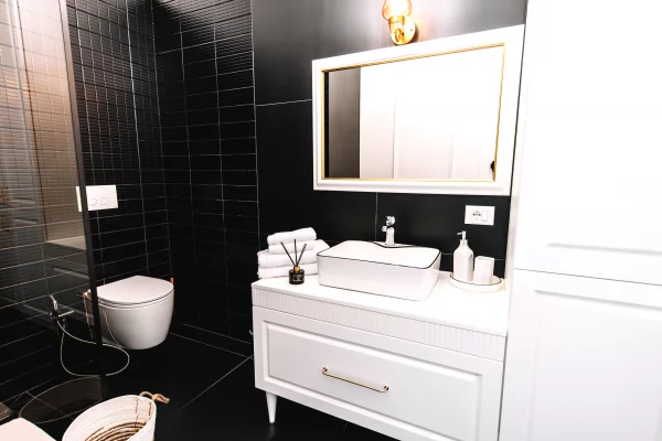 Appartamento in affitto a Tirana 1+1, Arredato