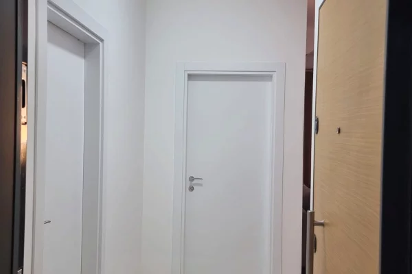 Apartment for rent in Tirana 1+1, Furnished