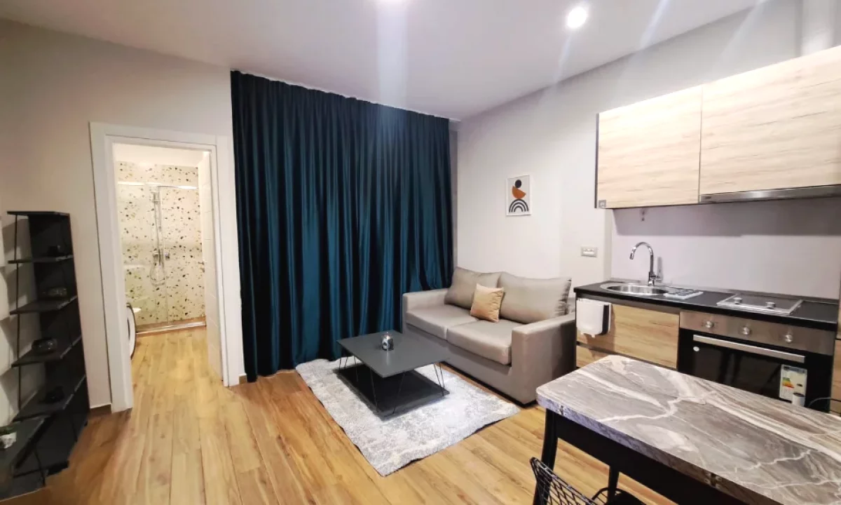 Shtepi me qera Apartament ne Tirane, Garsoniere, Mobilimi E mobiluar, Pagesa 38,000  Leke.