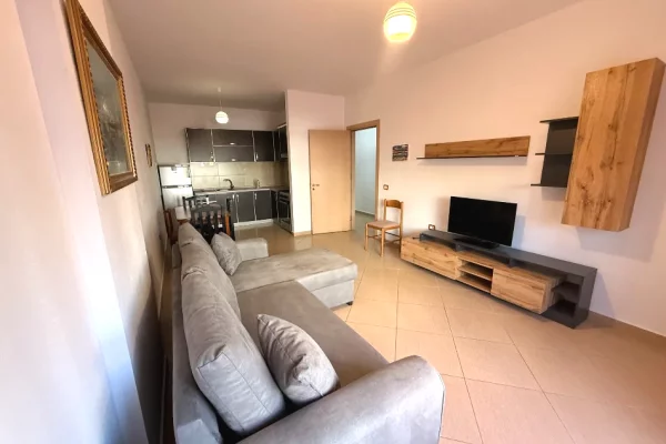 Shtepi me qera Apartament ne Tirane, 1+1, Mobilimi E mobiluar, Pagesa 420  Euro.