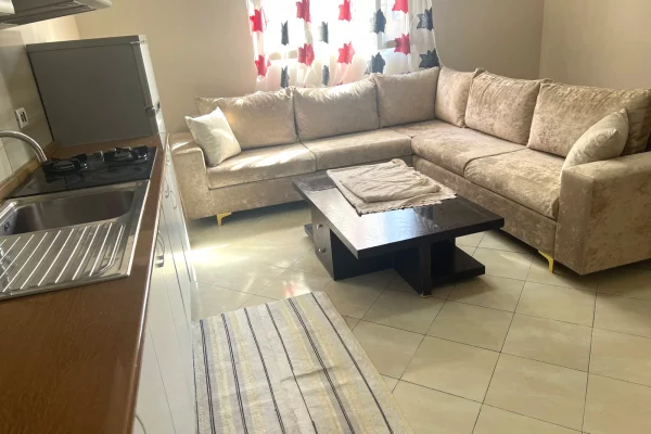 Shtepi me qera 1+1 ne Tirane - 350 Euro