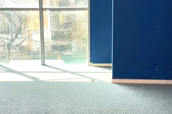 Ambiente Commerciale in Affitto 3+1 a Tirana - 5,800 Euro