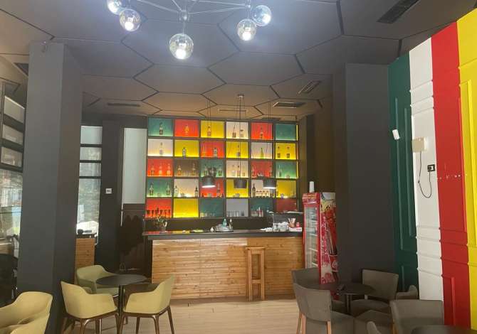 Ambient biznesi me qera 2+1 ne Tirane - 600 Euro