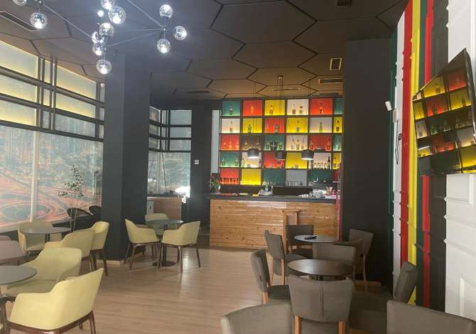 Ambient biznesi me qera 2+1 ne Tirane - 600 Euro