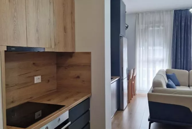 Shtepi me qera Apartament ne Tirane, 1+1, Mobilimi E mobiluar, Pagesa 600  Euro.