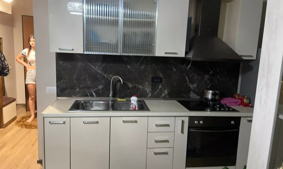 Shtepi me qera Apartament ne Tirane, 2+1, Mobilimi E mobiluar, Pagesa 580  Euro.