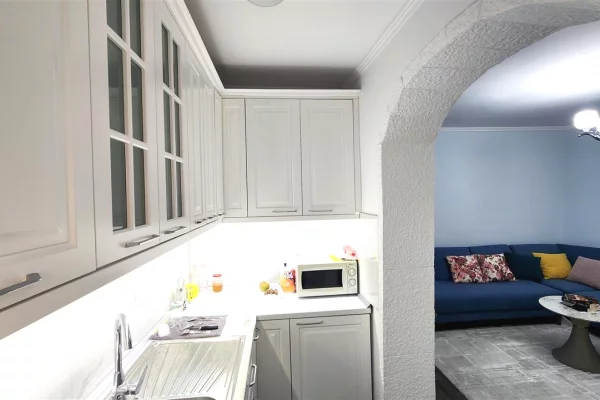 Shtepi me qera Apartament ne Tirane, 1+1, Mobilimi E mobiluar, Pagesa 50,000  Leke.