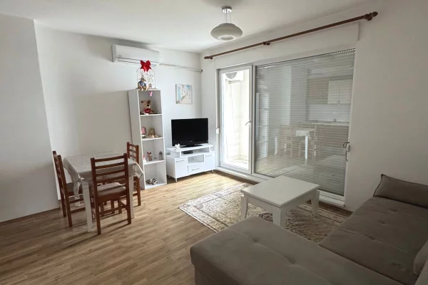 Shtepi me qera Apartament ne Tirane, 1+1, Mobilimi E mobiluar, Pagesa 50,000  Leke.