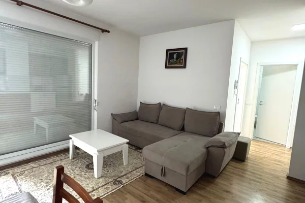 Shtepi me qera 1+1 ne Tirane - 50,000 Leke