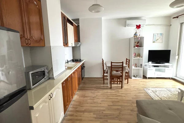 Shtepi me qera Apartament ne Tirane, 1+1, Mobilimi E mobiluar, Pagesa 50,000  Leke.