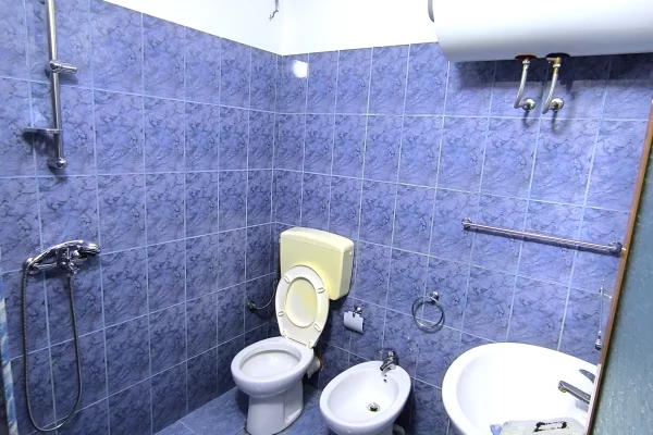 Shtepi me qera Apartament ne Tirane, 1+1, Mobilimi E mobiluar, Pagesa 400  Euro.