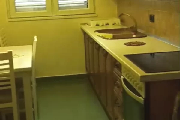 Shtepi me qera Apartament ne Tirane, 2+1, Mobilimi E mobiluar, Pagesa 600  Euro.