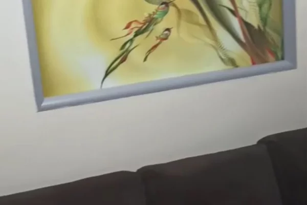 Shtepi me qera Apartament ne Tirane, 2+1, Mobilimi E mobiluar, Pagesa 600  Euro.